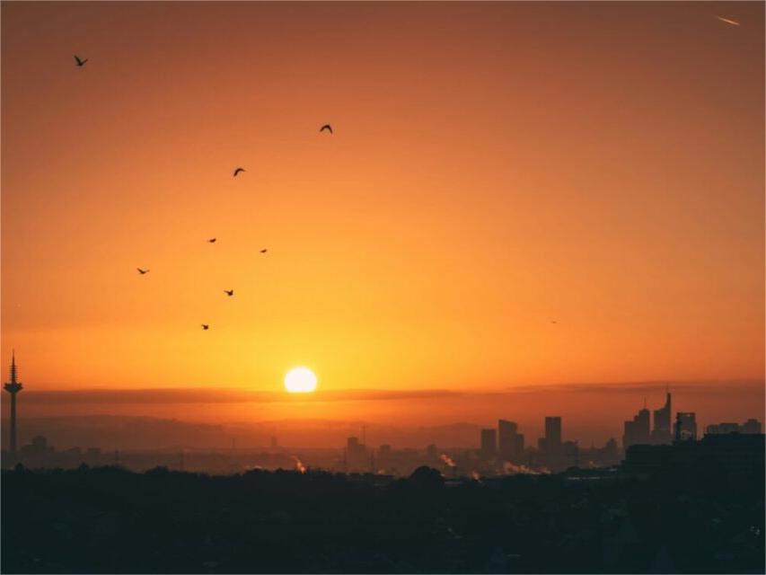 ドイツ、2025年上半期に7.1GWの新規太陽光発電容量を追加